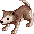 Desert Wolf